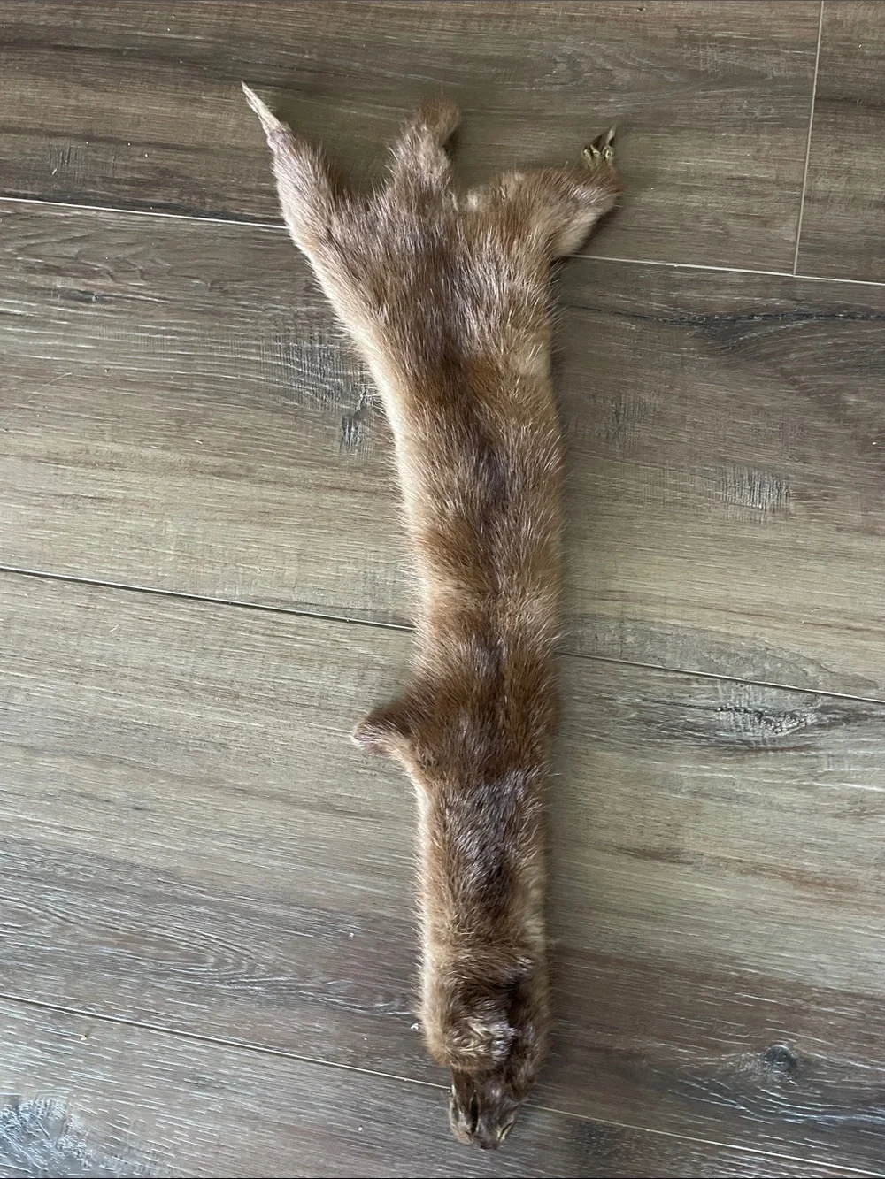 VTG Authentic Brown Fur Neck Wrap